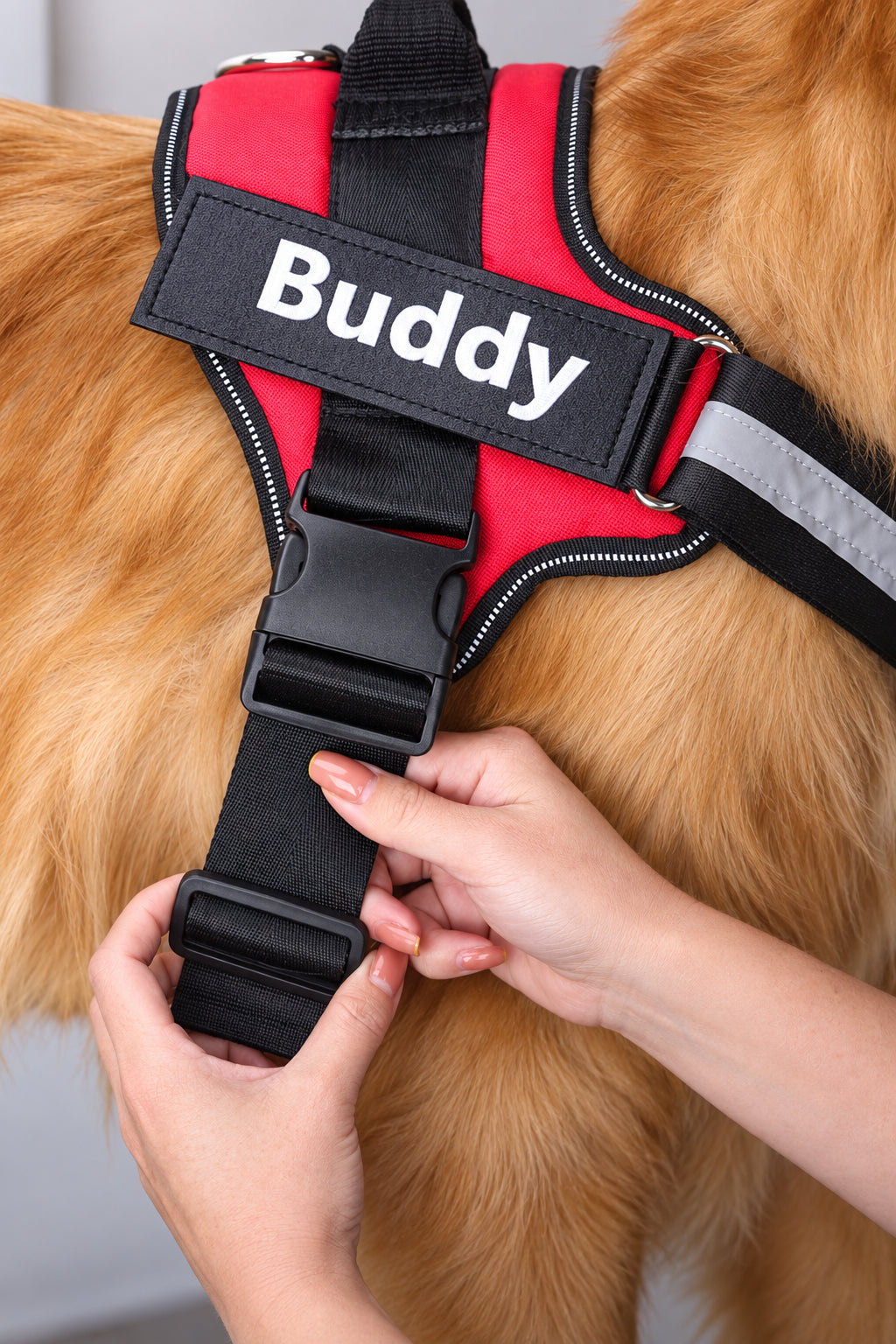 Perfect Fit™ Reflective No-Pull Dog Harness