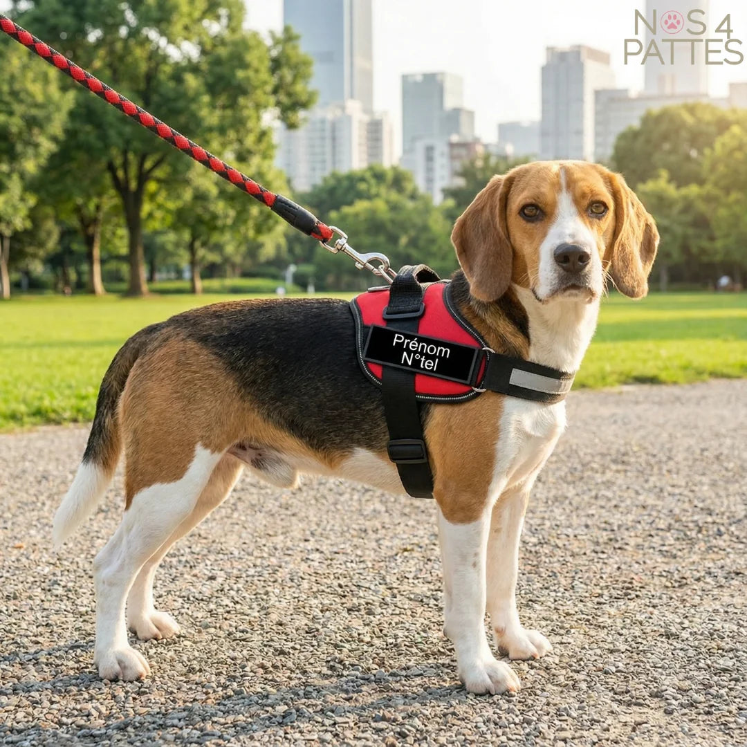 Perfect Fit™ Reflective No-Pull Dog Harness