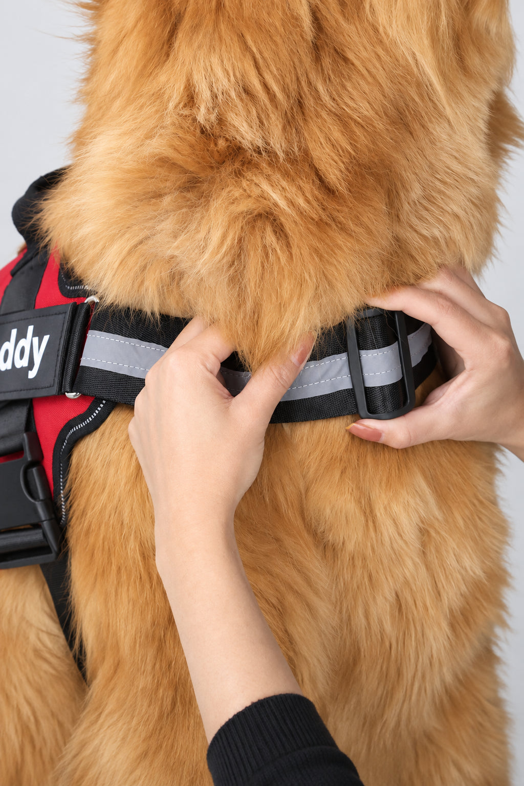 Perfect Fit™ Reflective No-Pull Dog Harness