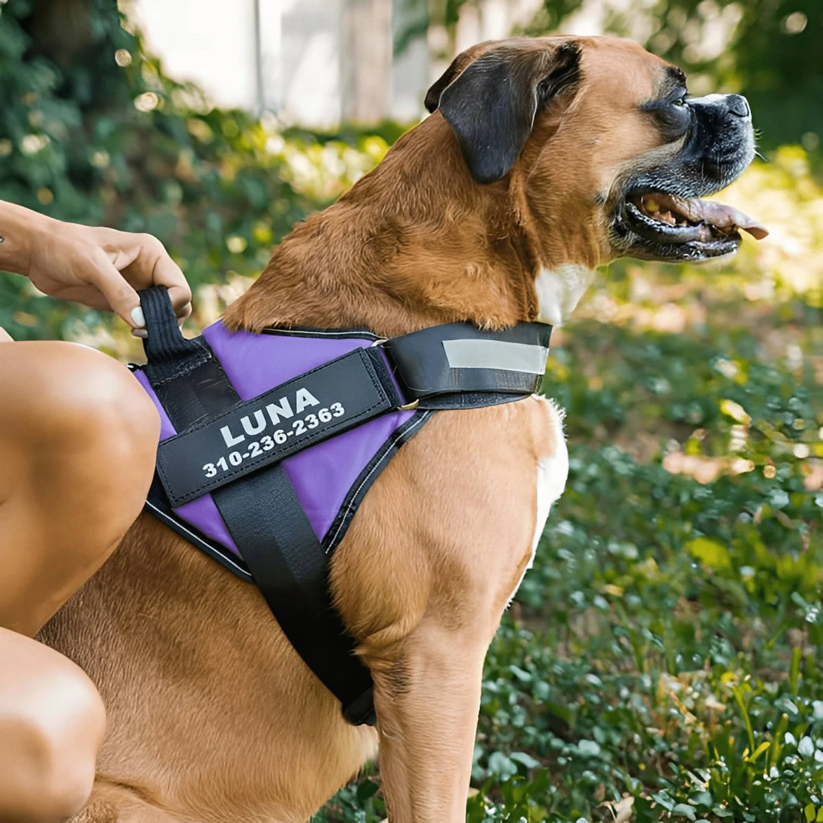 Perfect Fit™ Reflective No-Pull Dog Harness